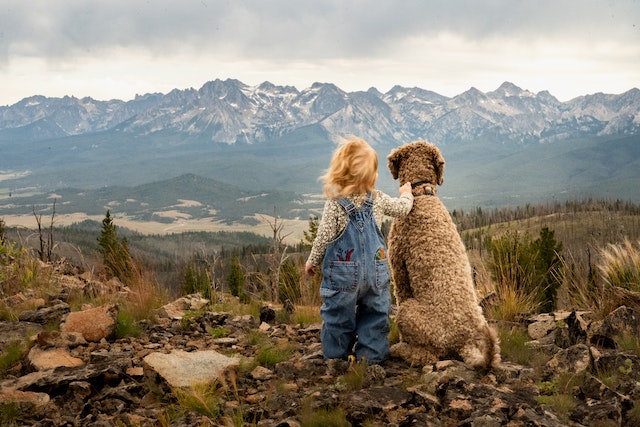 Image of a child stood next to a large dog